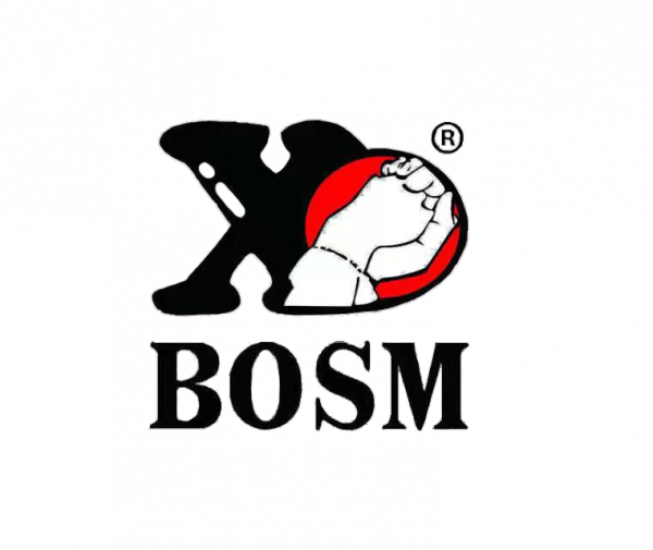 BOSM-600x505